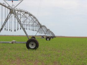 Mato Grosso tem um potencial não explorado na agricultura, o que pode ser atingido através da irrigação  - Foto por: Assessoria/Sedec